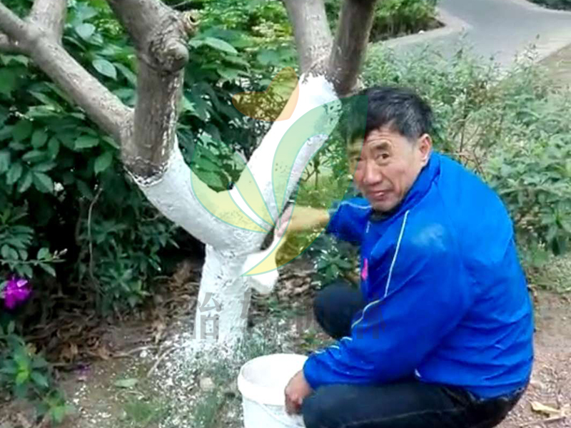 怡軒園林綠化養(yǎng)護