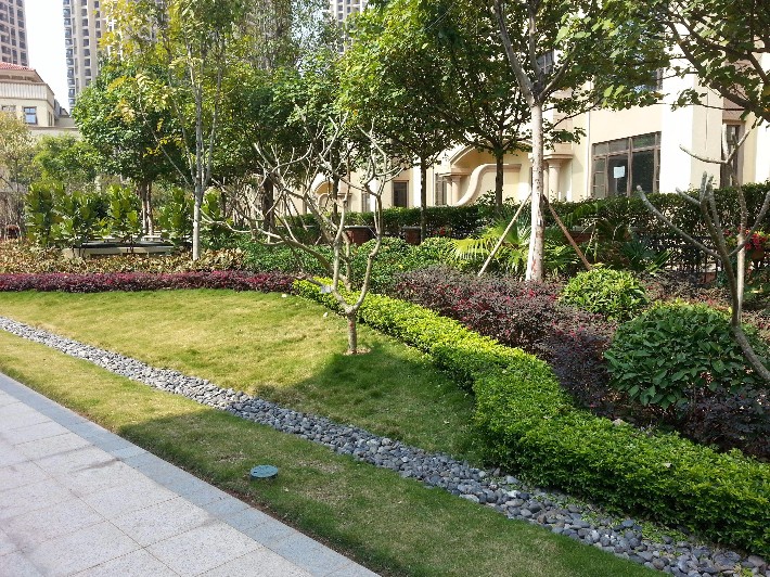 小區(qū)綠化養(yǎng)護
