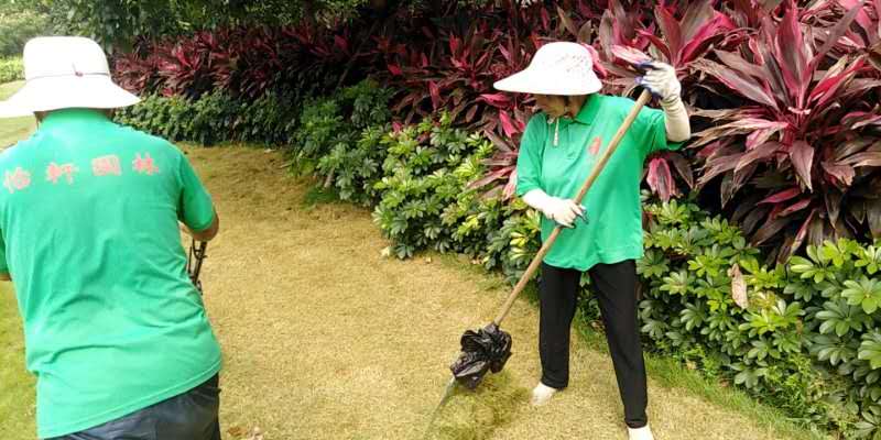 工廠綠化養(yǎng)護
