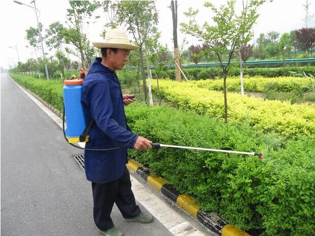 綠化維護 綠化維護