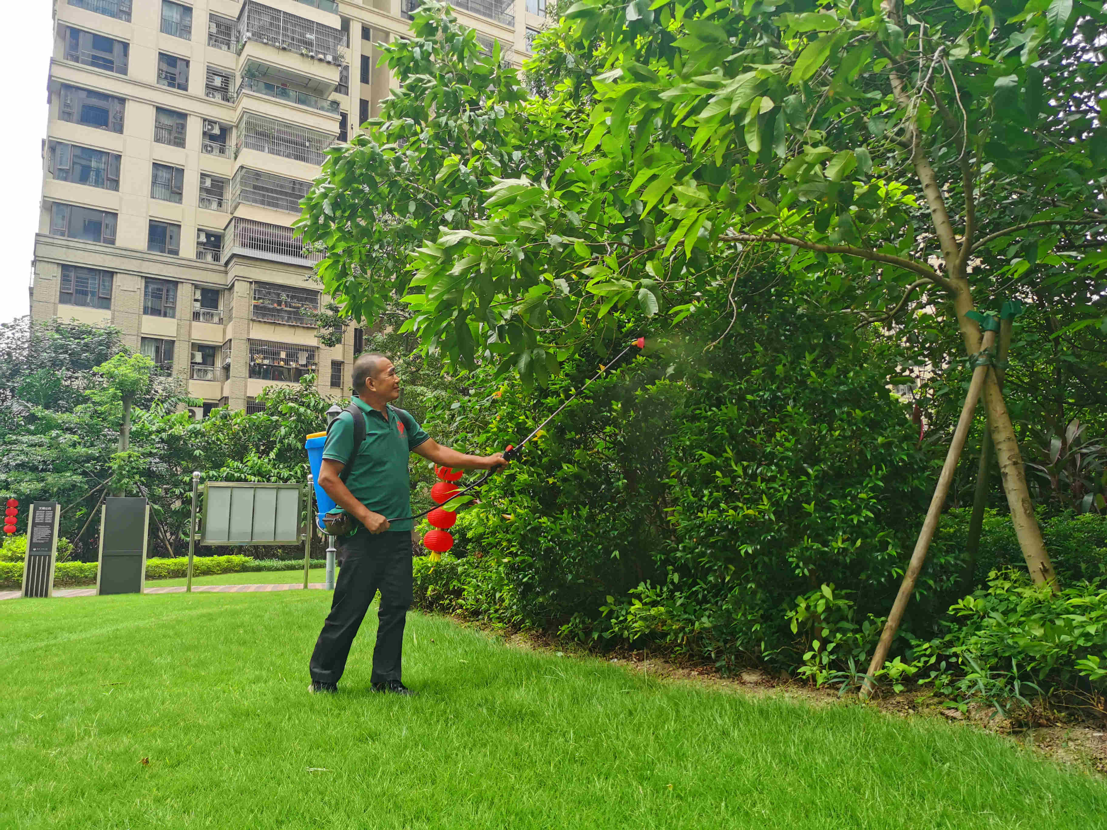 綠化維護 綠化維護