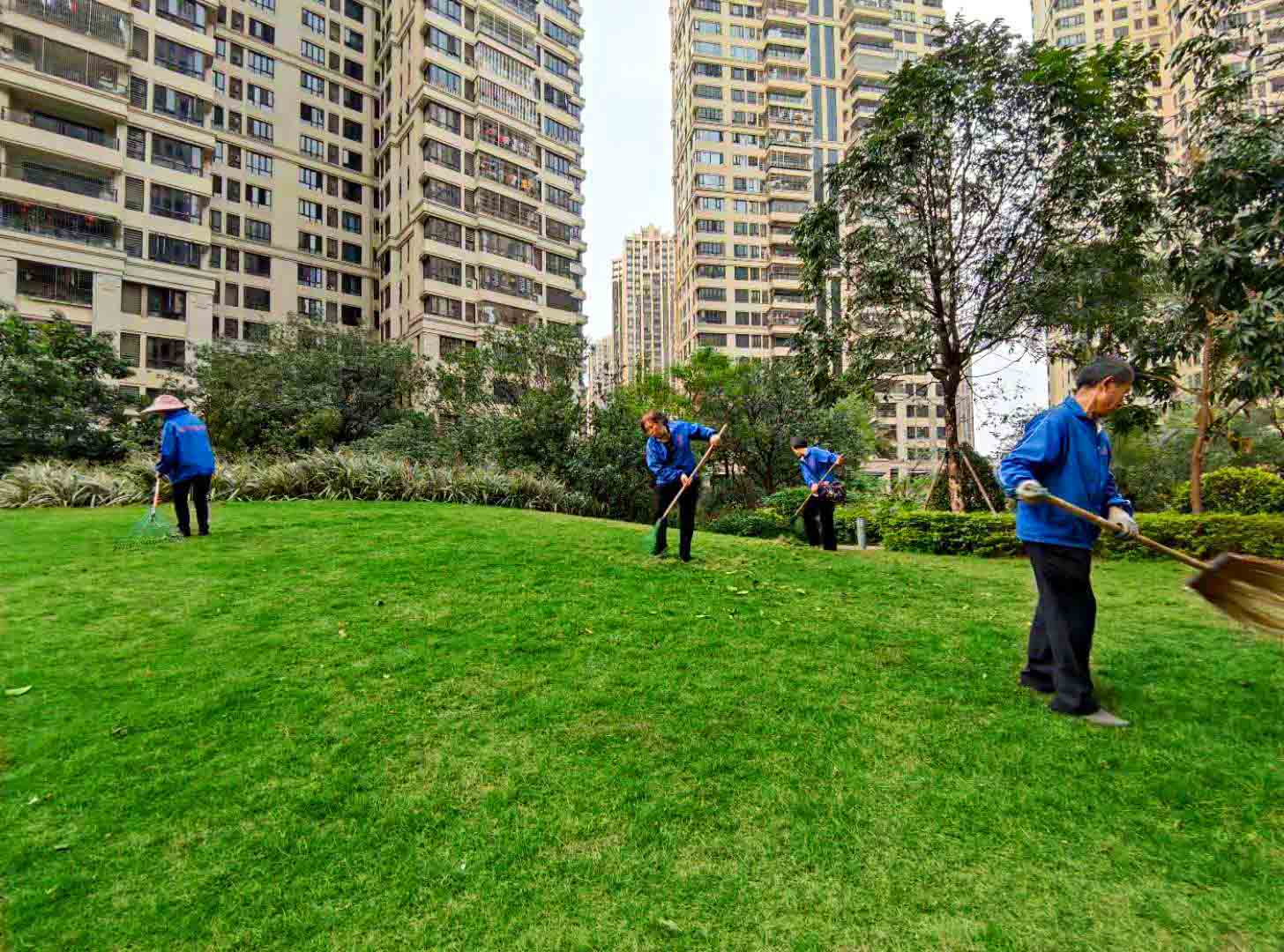 廣州園林綠化養(yǎng)護，廣州園林綠化養(yǎng)護公司，園林綠化養(yǎng)護
