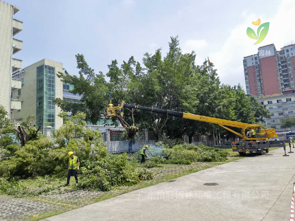 綠化工程，園林綠化公司