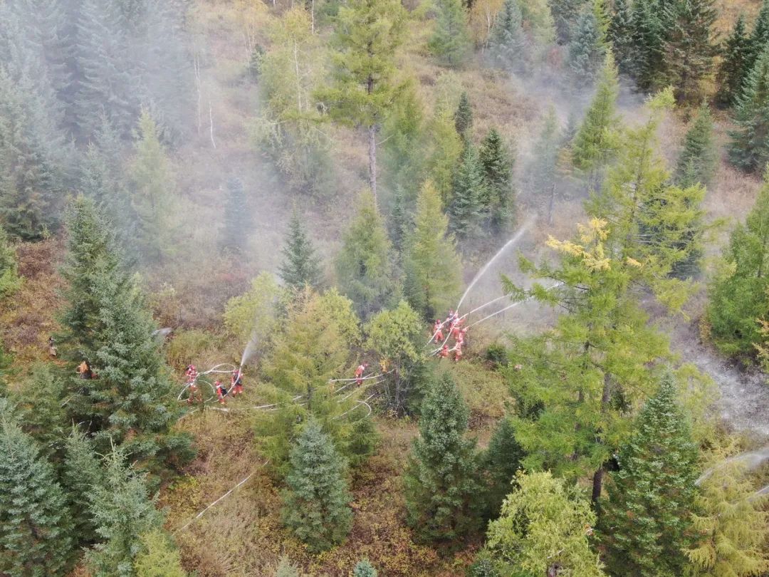 森林草原防火,園林綠化公司