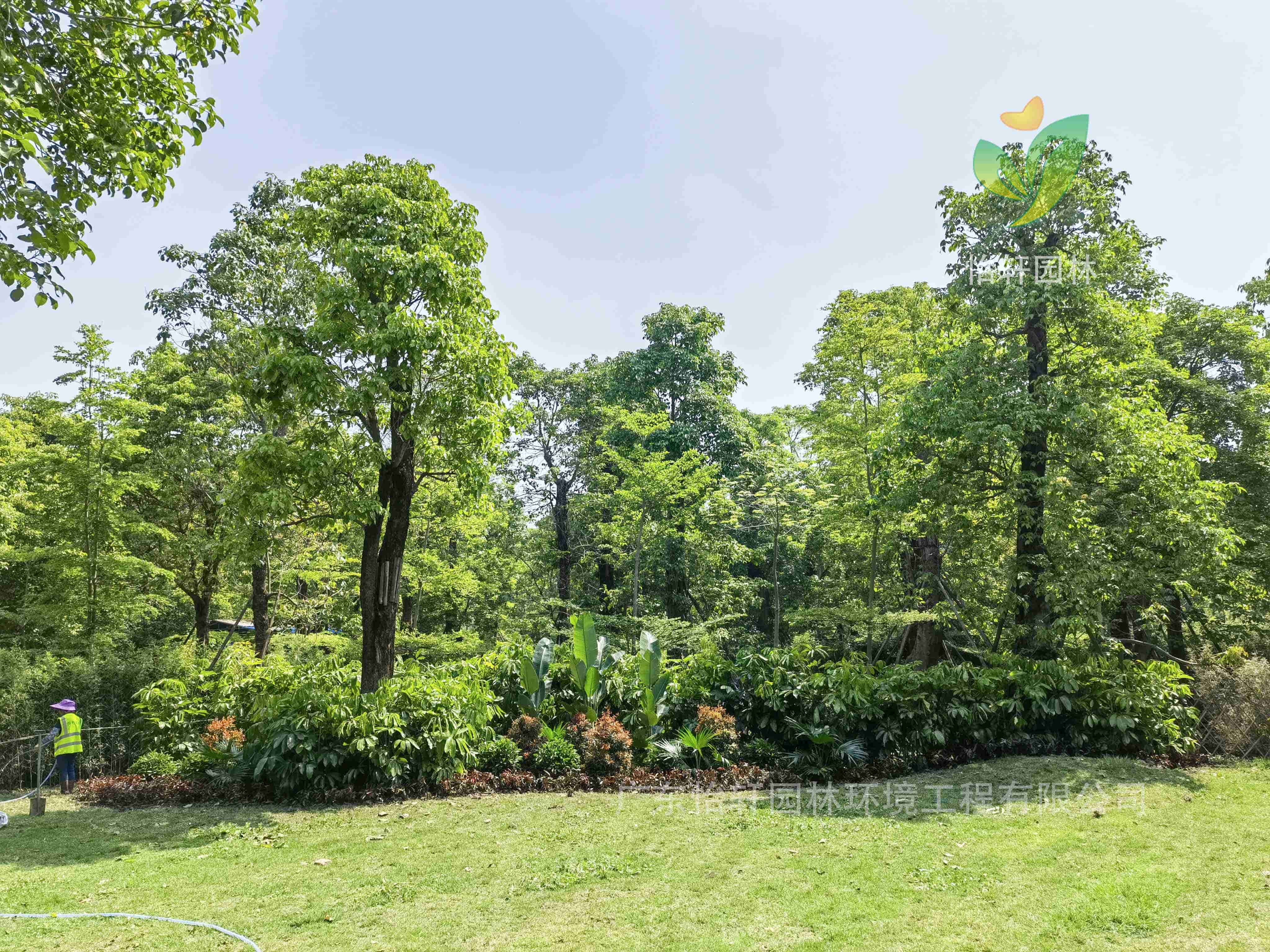 景觀設計,屋頂花園