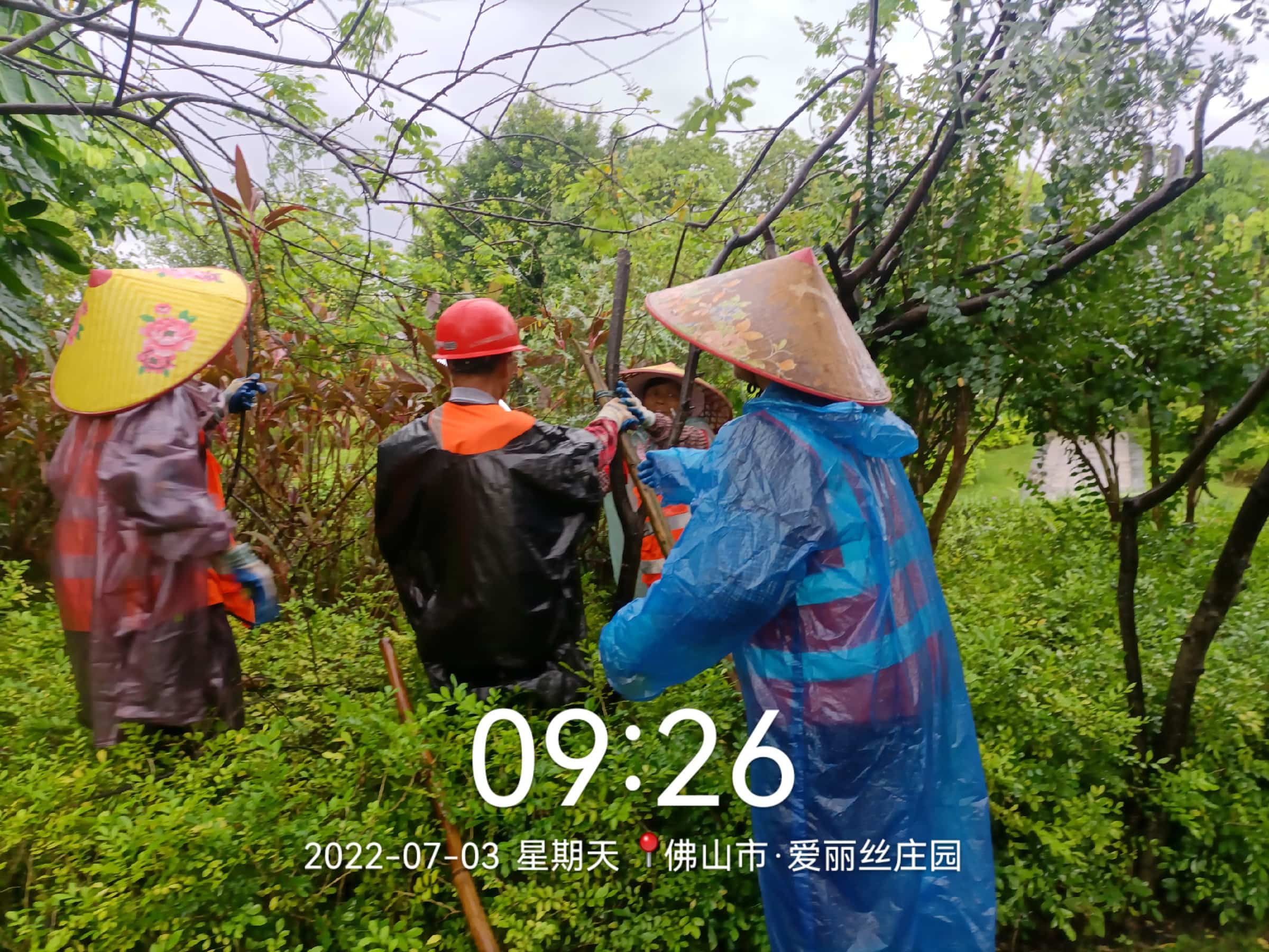 園林綠化公司,綠化養護,園林綠化