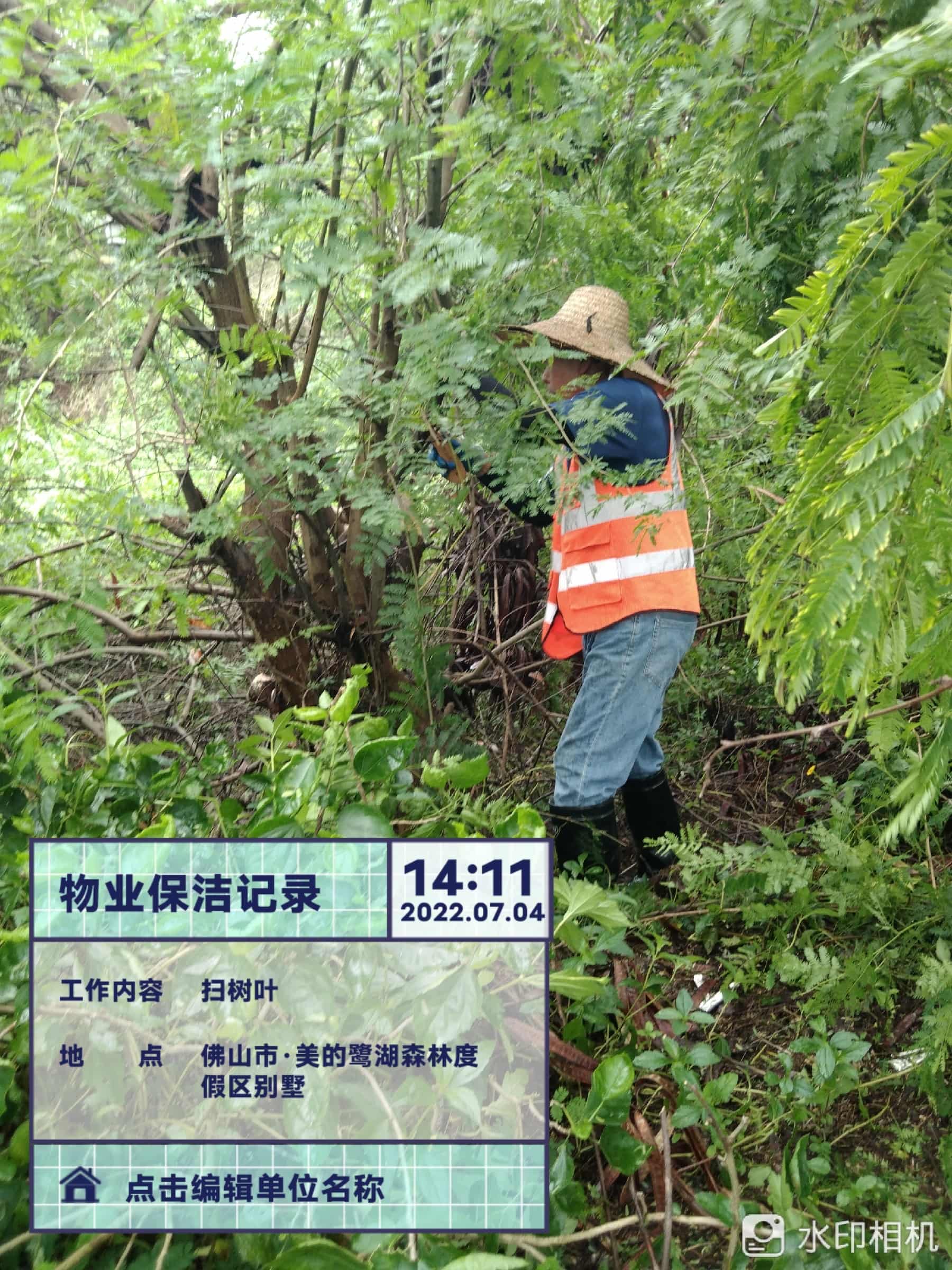 園林綠化公司,綠化養護,園林綠化