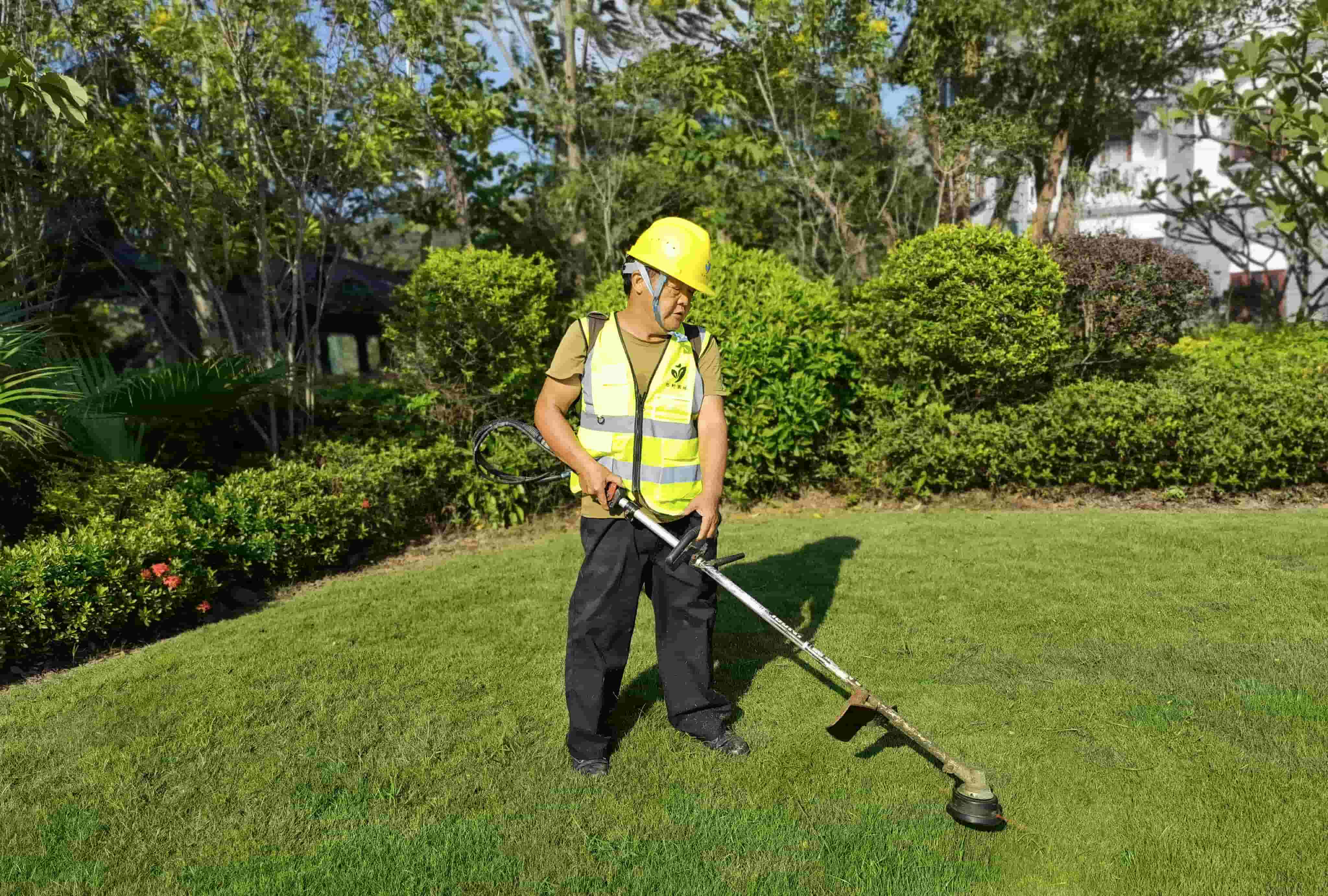 園林綠化養護 園林綠化養護