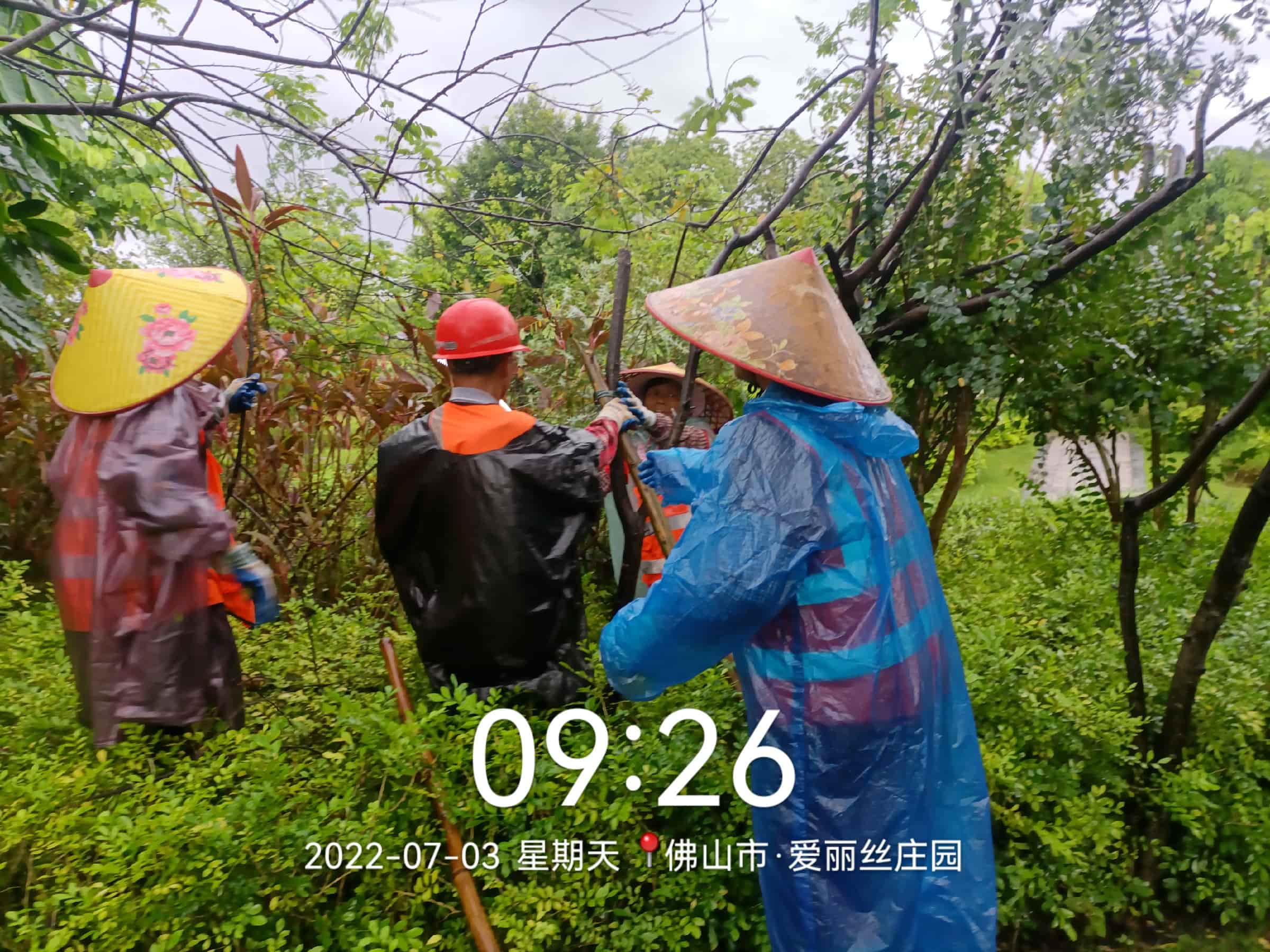 園林綠化養護
