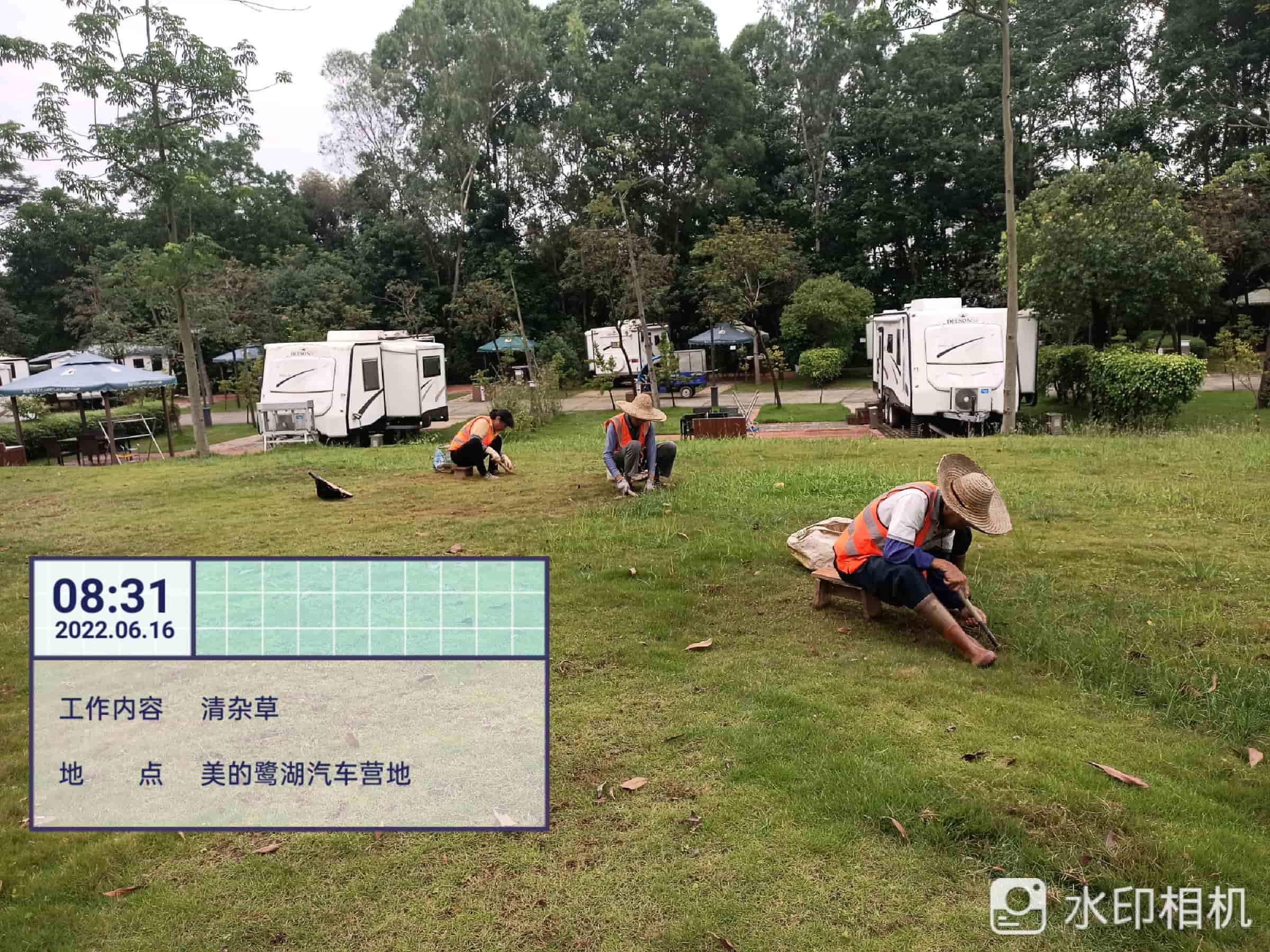 園林綠化,綠化養護,園林綠化公司