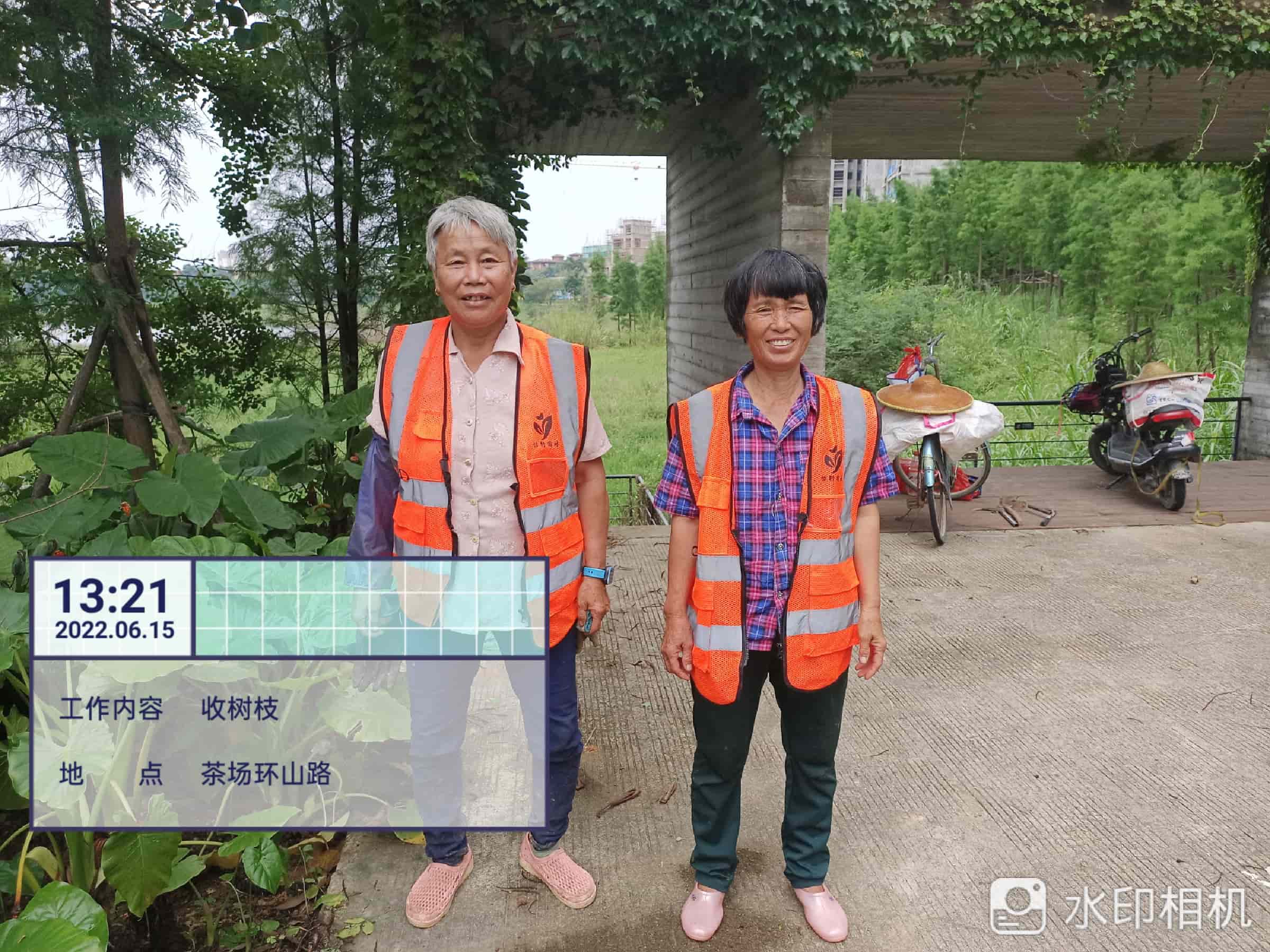 園林綠化,園林綠化公司 園林綠化,園林綠化公司