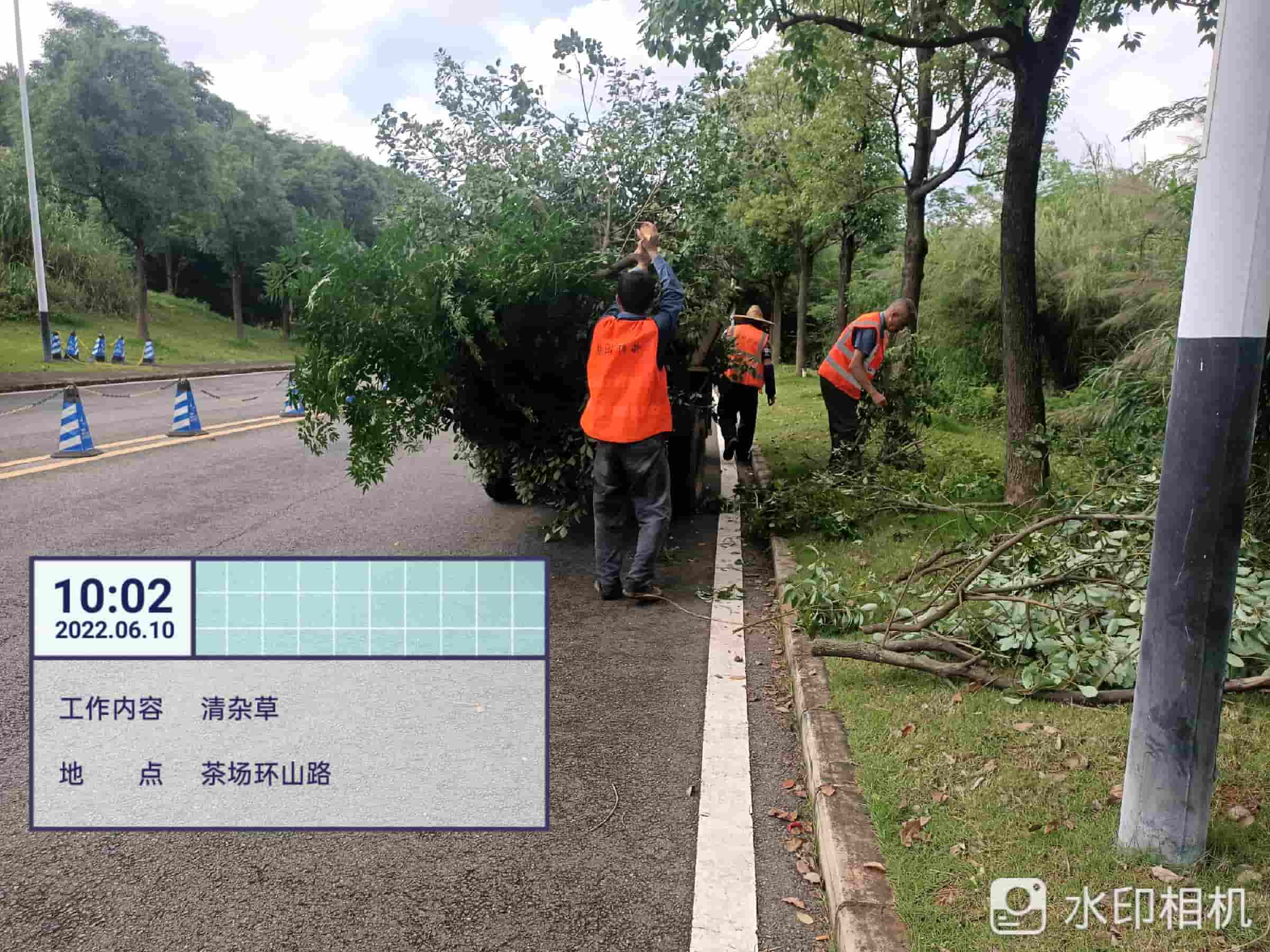 園林綠化養護,美的鷺湖