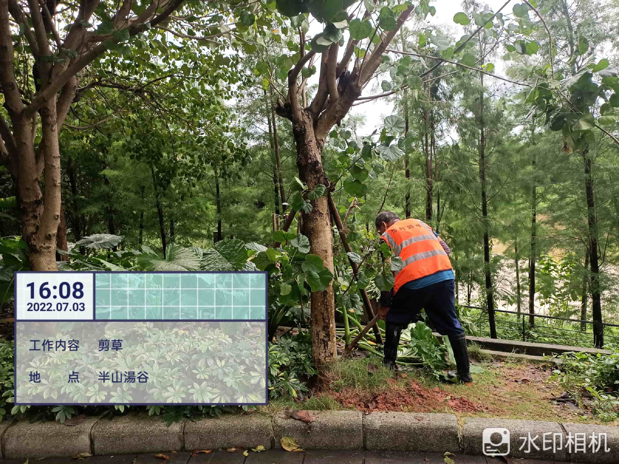 園林綠化養護,美的鷺湖