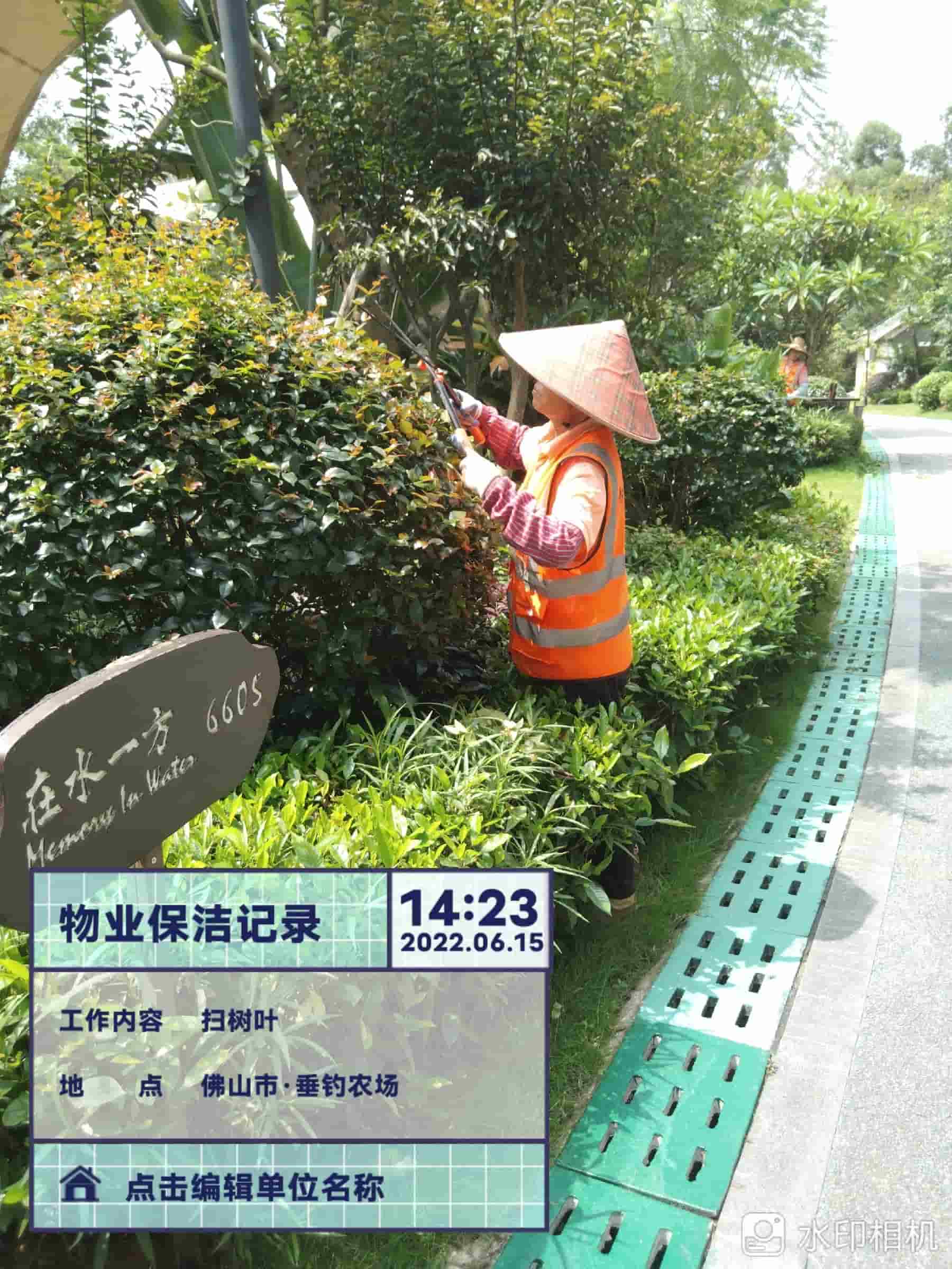 綠化養護,園林綠化養護公司