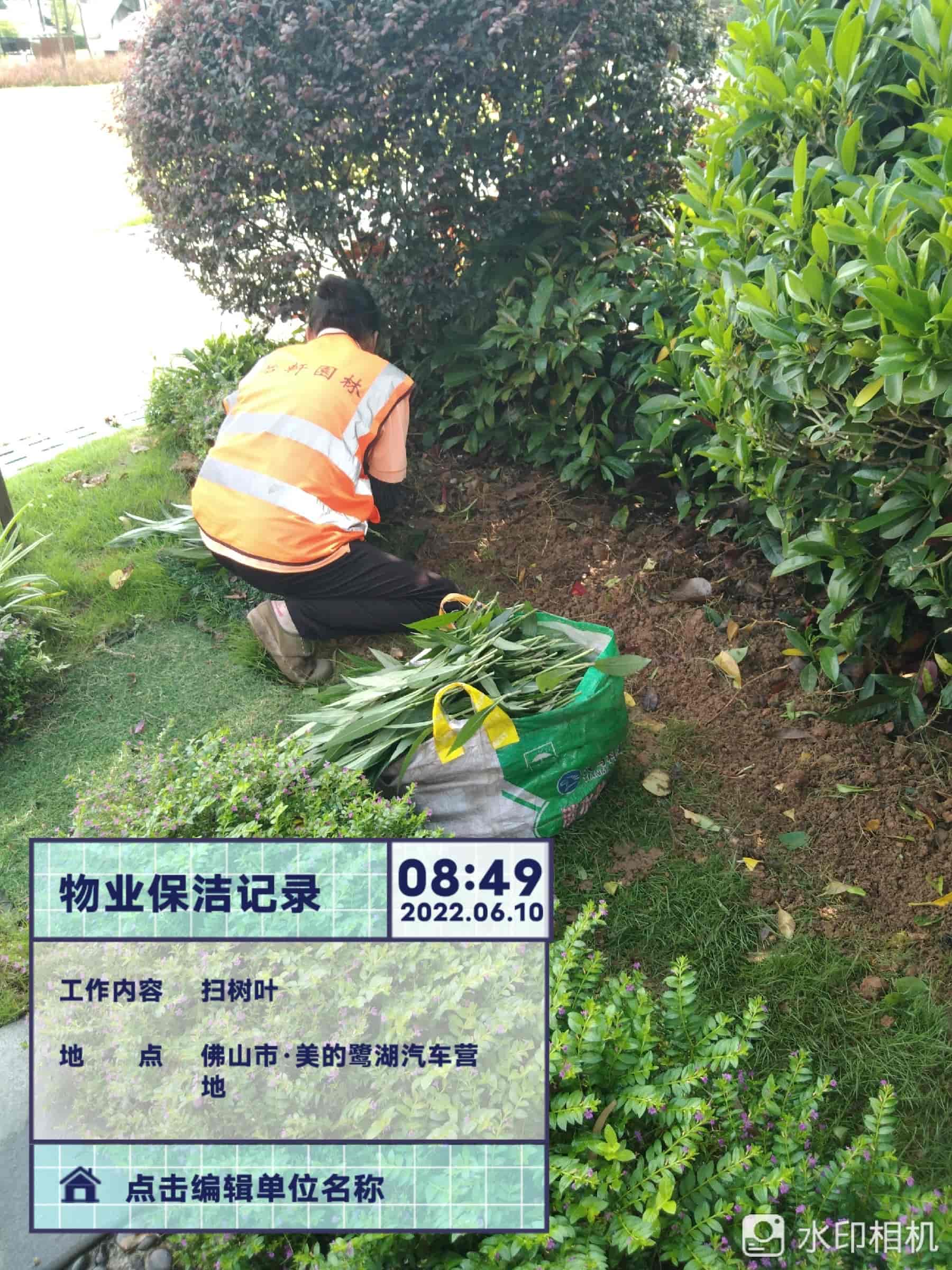 綠化養護