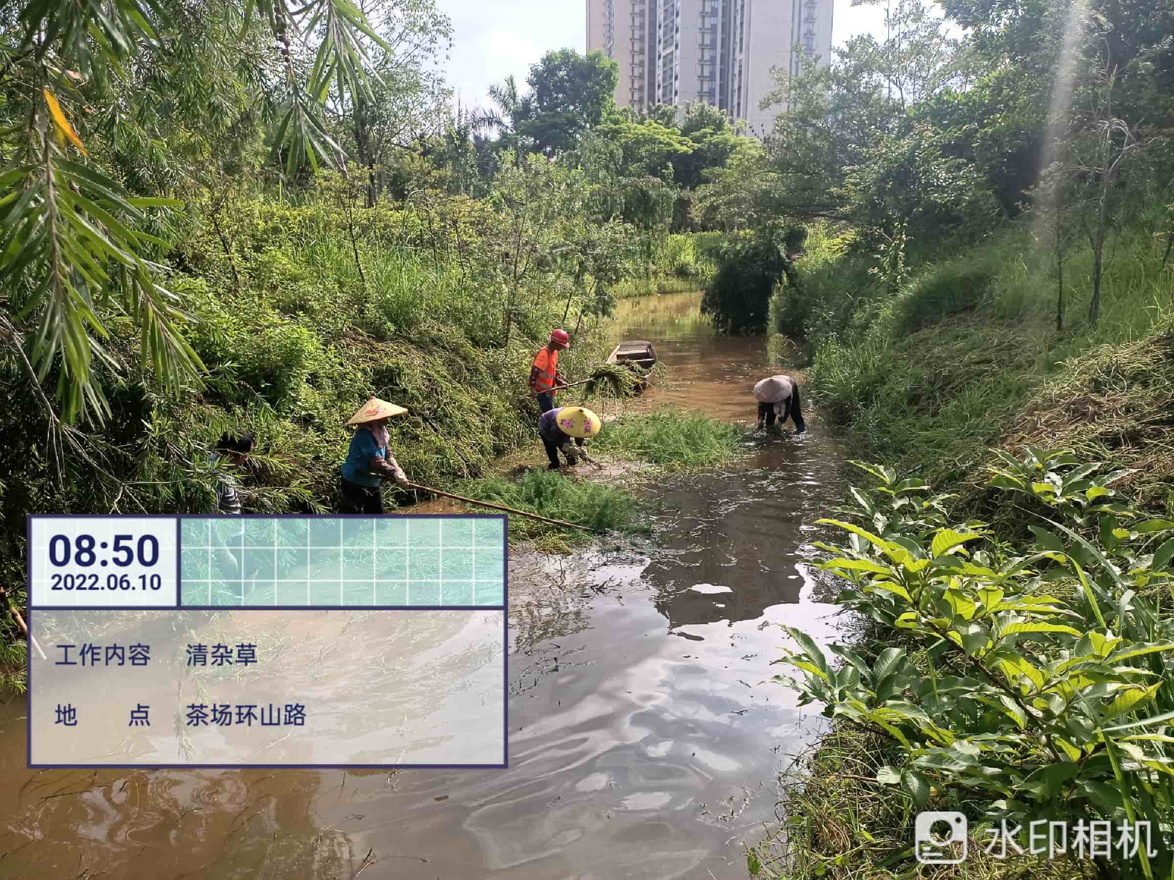 綠化養(yǎng)護(hù) 綠化養(yǎng)護(hù)