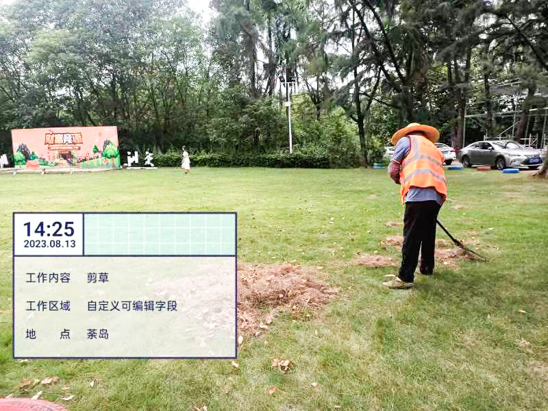園林綠化養(yǎng)護