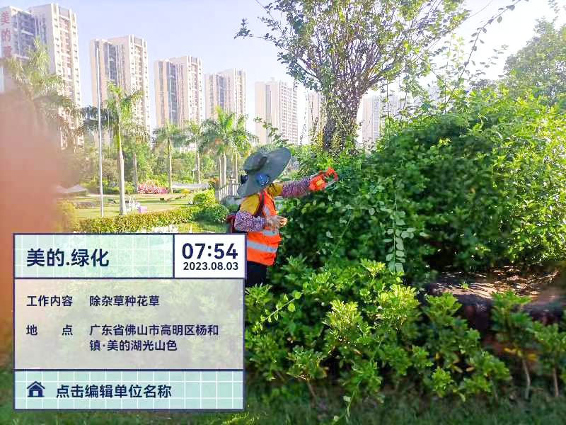 綠化養護