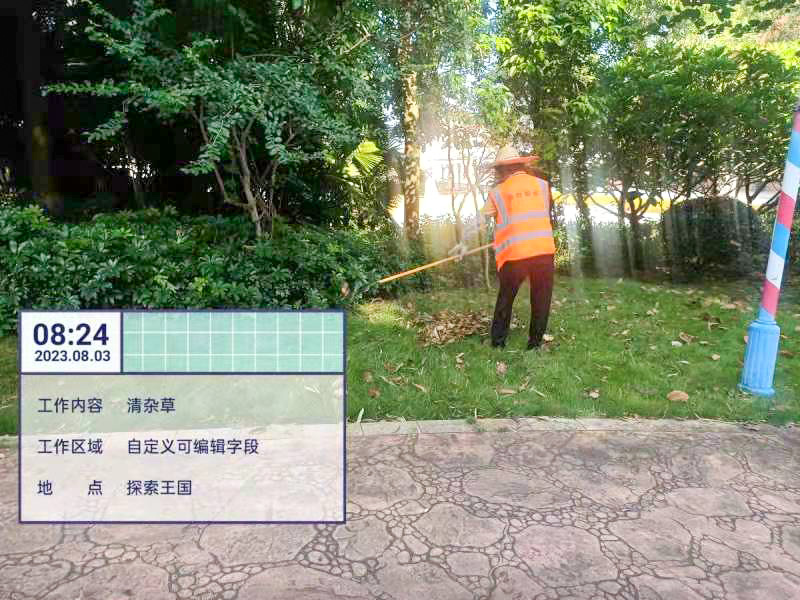 綠化養(yǎng)護,綠化工程