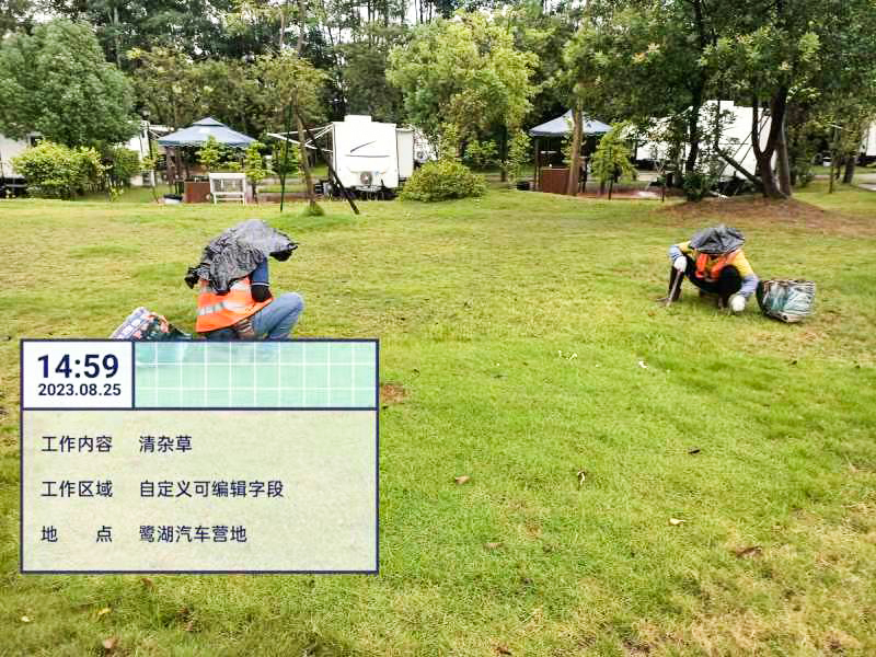 園林綠化養護 園林綠化養護