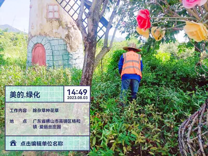 綠化養護