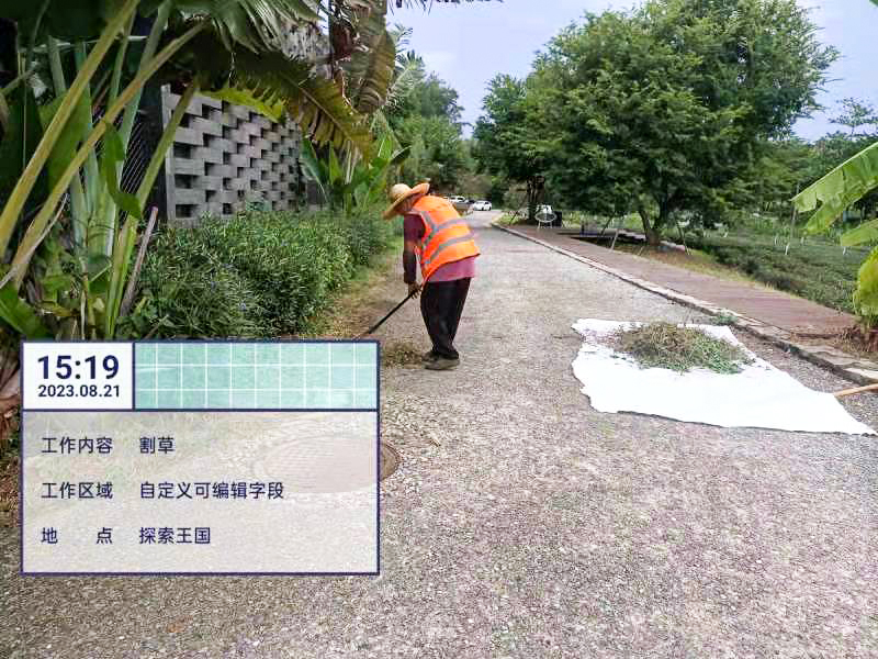 綠化養(yǎng)護(hù),桂花